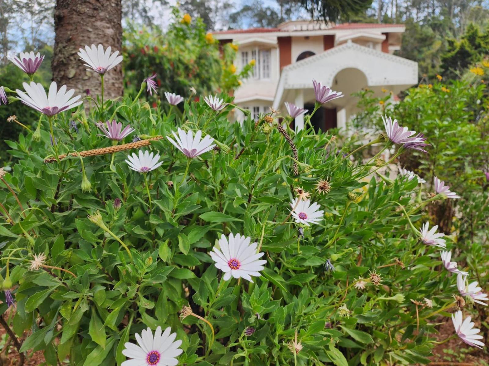 Narmada Holiday Home Udagamandalam Exterior photo